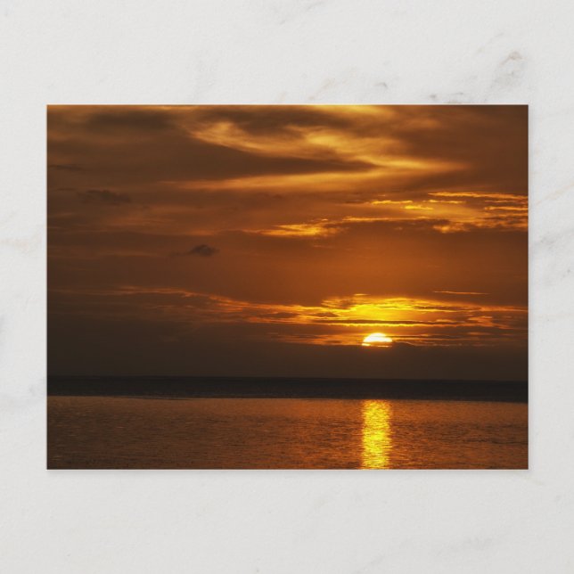 Fredliga tider - Peleliu Vykort (Framsida)