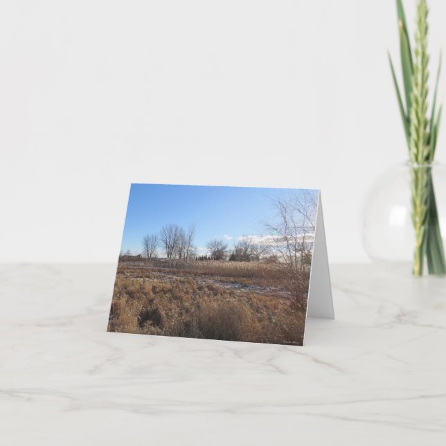 Fredligt Blå himmel - tomt gratulationskort Kort (Framsida)