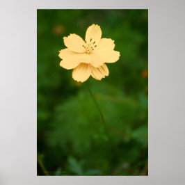 Fredligt harmoni poster