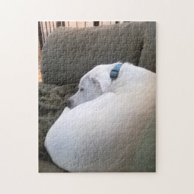 Fredligt Knubbig Puppy Hund Spipande på soffan Pussel (Vertikal)