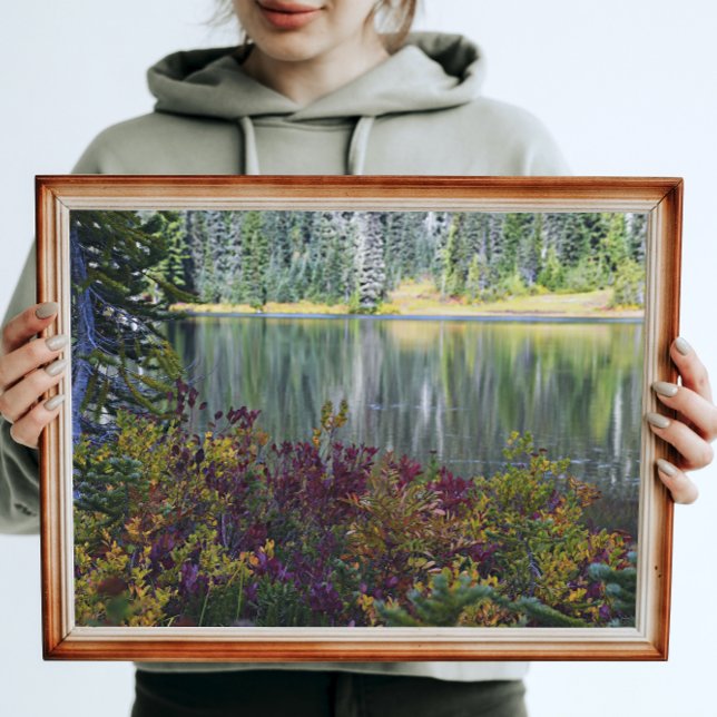 Fredligt liggande Sjö Vibrant Fall Färg Fototryck (In Situ Framed)