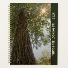 Fredligt Sequoia-foto med Sunburst Planner