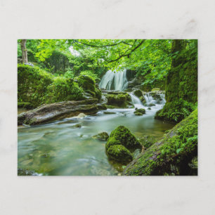 Fredligt vykort för foto av Forest Waterfall
