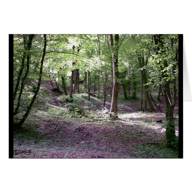 Fredsbetoning Hälsningskort (Framsidan Horizontal)