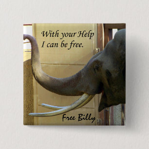 Free Billy-The Elephabt_ Button Knapp