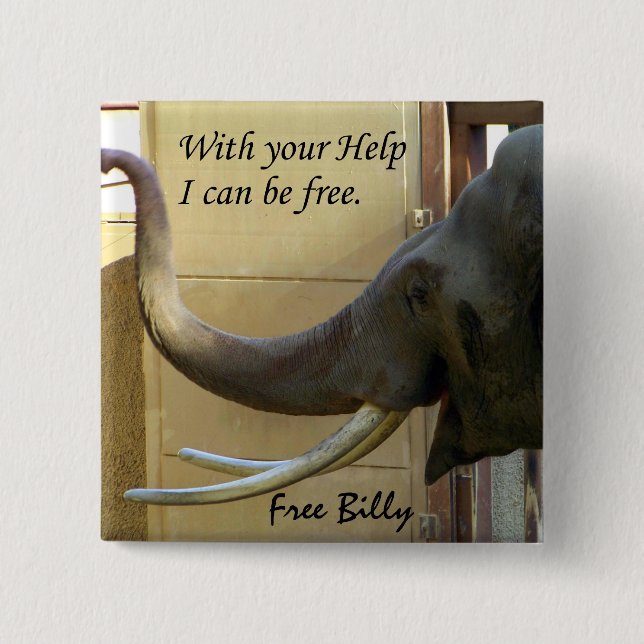 Free Billy-The Elephabt_ Button Knapp (Framsida)