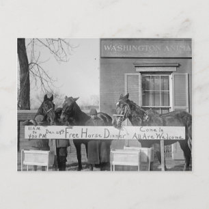 Free Dinner for Horses, 1923 Vykort