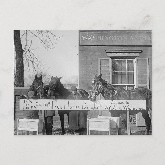 Free Dinner for Horses, 1923 Vykort (Framsida)