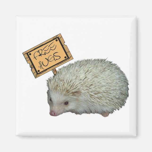 Free Hugs Hedgehog Magnet (Framsidan)