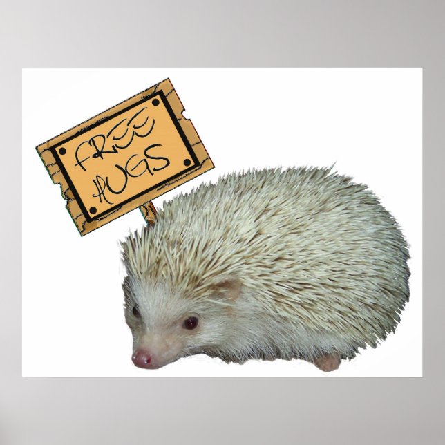 Free Hugs Hedgehog Poster (Framsidan)