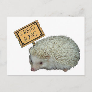 Free Hugs Hedgehog Vykort