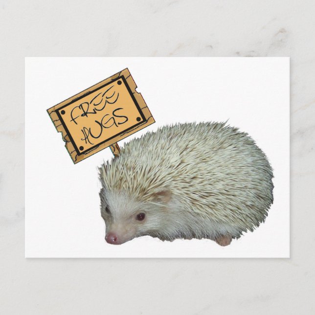Free Hugs Hedgehog Vykort (Framsida)