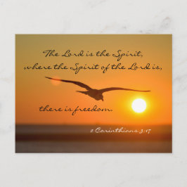 Freedom Bible Verse, Bird Flies at Sunset Anpassni Vykort