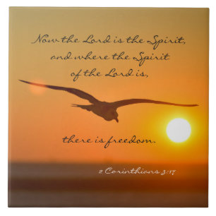 Freedom Bible Verse, Bird Flies at Sunset Kakelplatta