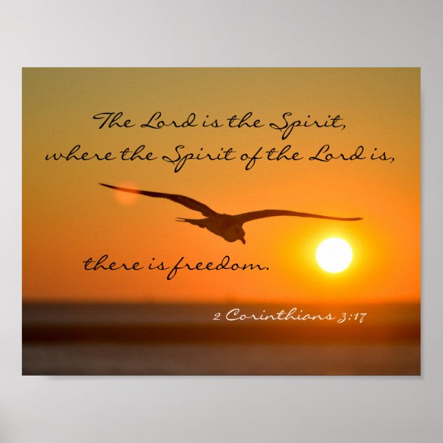 Freedom Bible Verse, Bird Flies at Sunset Poster (Framsidan)