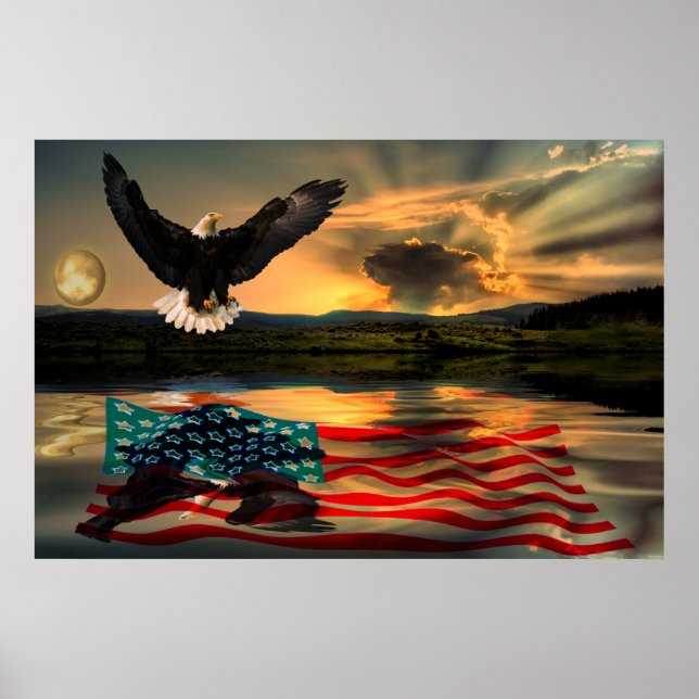 Freedom-Eagle-W-Flagga-2010 Poster (Framsidan)