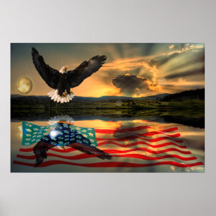 Freedom-Eagle-W-Flagga-W-Star-burst-2010 Poster
