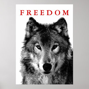 Freedom Grått Varg Motivering Poster utskrift