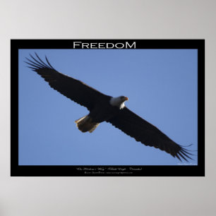 FREEDOM ~ Motivering Poster