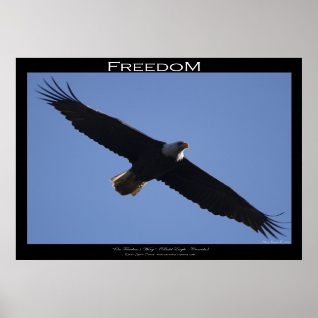 FREEDOM ~ Motivering Poster (Framsidan)