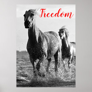 Freedom Red Black White Runses Horses Poster