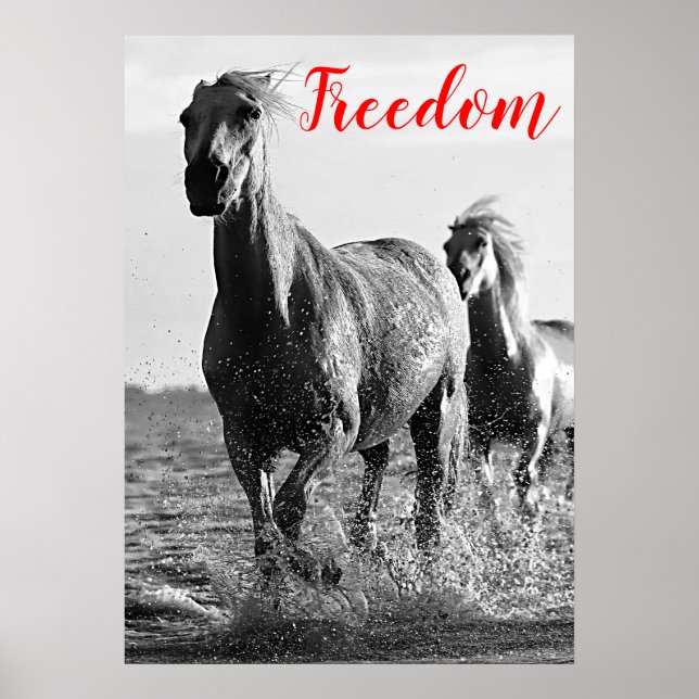 Freedom Red Black White Runses Horses Poster (Framsidan)