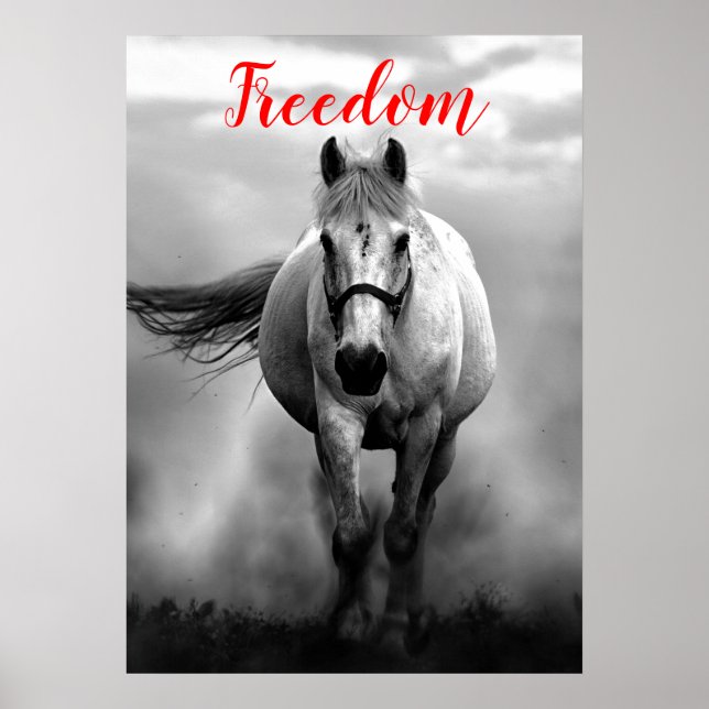 Freedom Red Black White Runses Horses Poster (Framsidan)