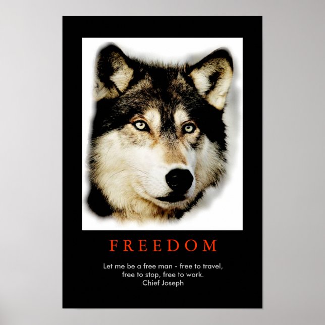 Freedom Spirit Motivational Varg Ögon Poster (Framsidan)