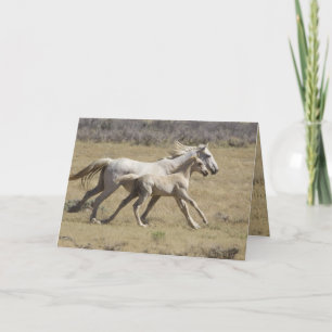 Freedom Springa Vild Horse Greeting Card Kort