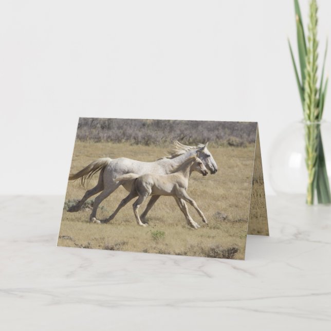 Freedom Springa Vild Horse Greeting Card Kort (Framsida)