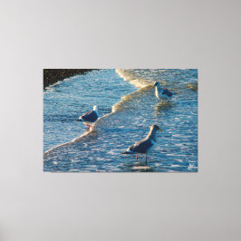 Freeland Mutiny Bay #1 Canvastryck