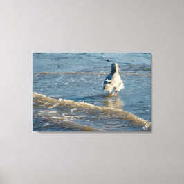 Freeland Mutiny Bay #2 Canvastryck