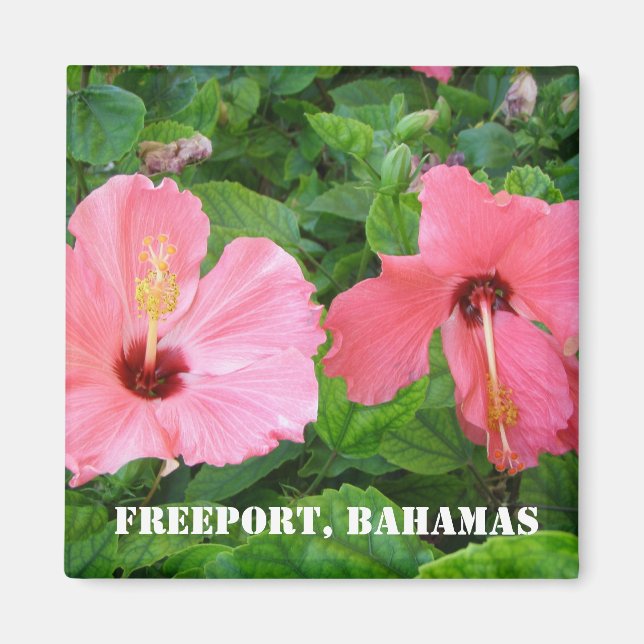 Freeport, Bahamas Magnet (Framsidan)