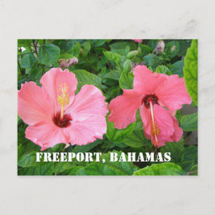Freeport, Bahamas vykort