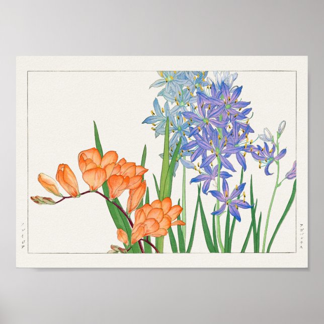 Freesia, afrikansk lily av Tanigami Konan Poster (Framsidan)