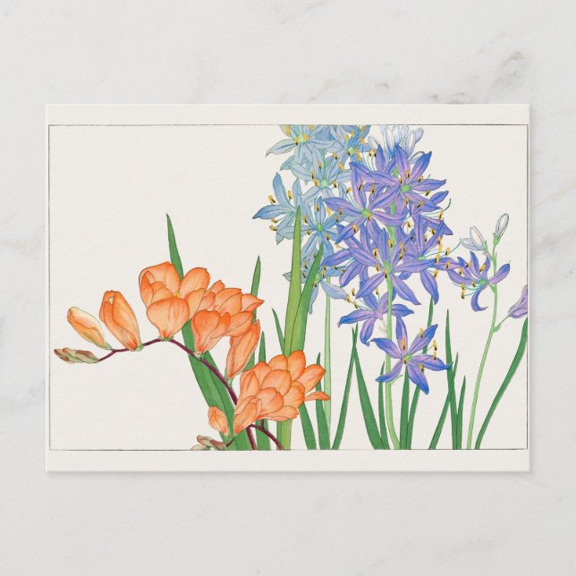 Freesia, afrikansk lily av Tanigami Konan Vykort (Framsida)