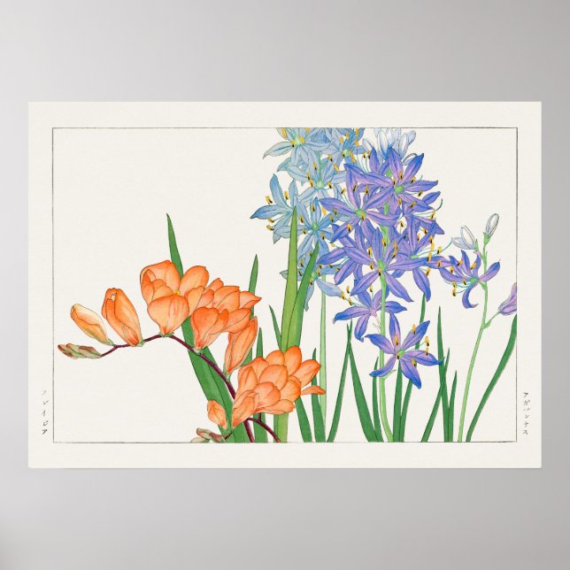 Freesia Flower by Tanigami Kônan (1917) Poster (Framsidan)