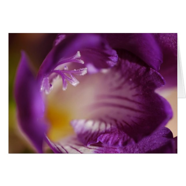 Freesia Hälsningskort (Framsidan Horizontal)