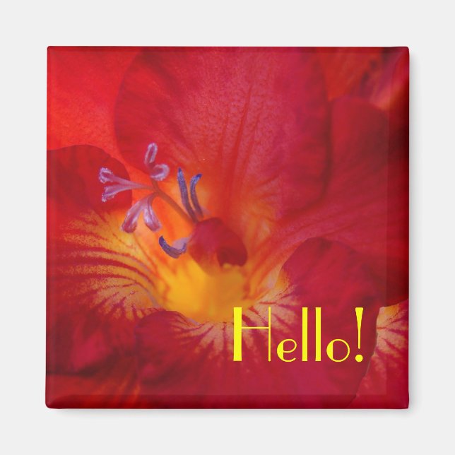Freesia Hej! Magnet (Framsidan)