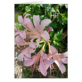 Freesia in natural world setting. Pinkish-lavender Hälsningskort