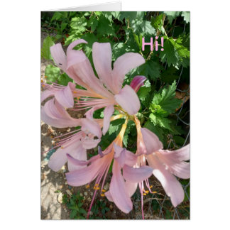 Freesia in natural world setting. Pinkish-lavender Hälsningskort