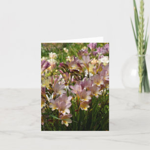 Freesia noterar kortet kort