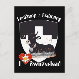 Freiburg/Fribourg Schweiz Suisse Postkarte Vykort
