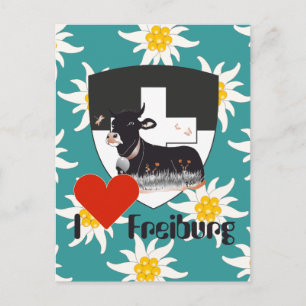 Freiburg/Fribourg Schweiz Suisse Postkarte Vykort