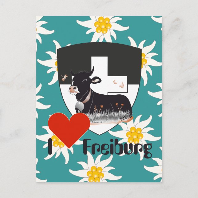Freiburg/Fribourg Schweiz Suisse Postkarte Vykort (Framsida)