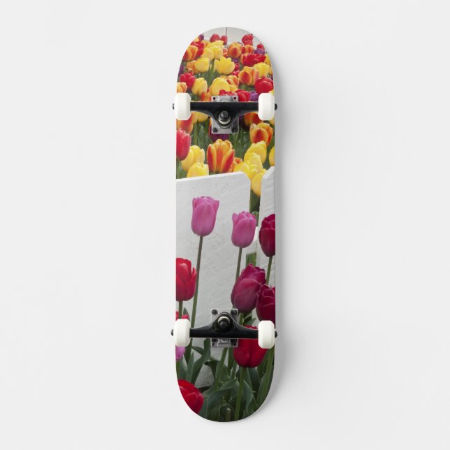 Fremont Solstice Parad Skateboard Bräda 21,5 Cm (Framsida)