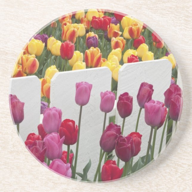 Fremont Solstice Parad Underlägg (Framsidan)