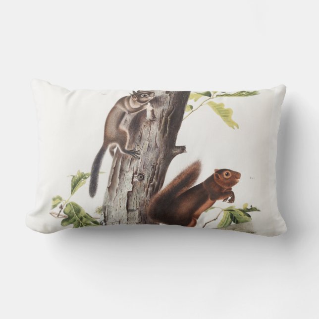 Fremonts ekorre och Sooty Squirrel Illustration Lumbarkudde (Framsida)