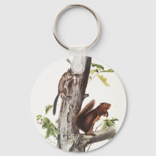 Fremonts ekorre och Sooty Squirrel Illustration Nyckelring