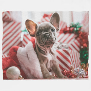 FRENCH BULL DOG FLEECEFILT
